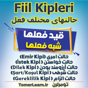 فعل امری، درخواست، شرط، آرزو و الزام در ترکی استانبولی