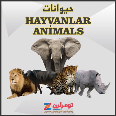 اسامی حیوانات در ترکی استانبولی و انگلیسی