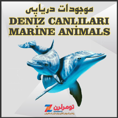 اسامی جانداران دریایی در ترکی استانبولی و انگلیسی