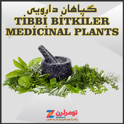 اسامی گیاهان دارویی در ترکی استانبولی و انگلیسی