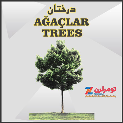 اسامی درختان در ترکی استانبولی و انگلیسی