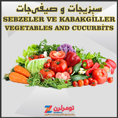 اسامی سبزیجات و صیفی‌جات در ترکی استانبولی و انگلیسی